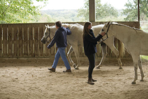 Manege 2 personnes